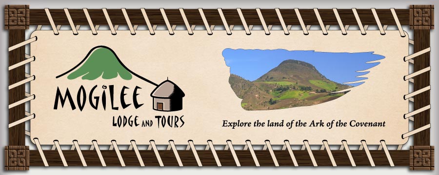Mogilee Lodge and Tours